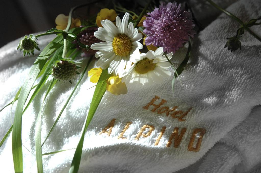 Hotel Alpino Varena Pokoj fotografie